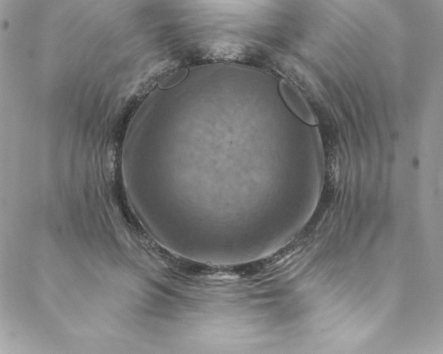 X0000088750551200706141731