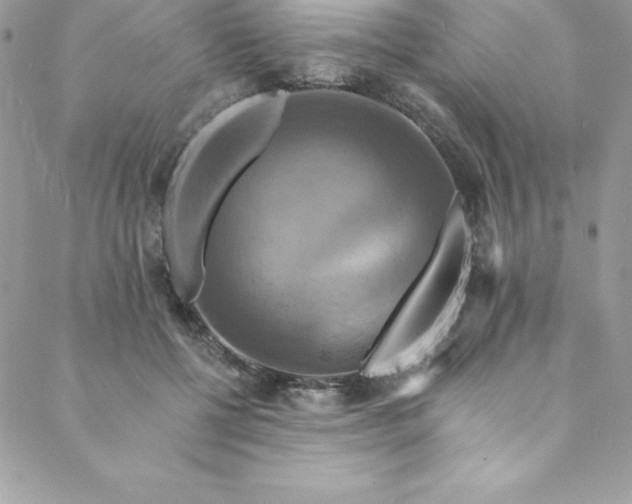 X0000088750552200706141731