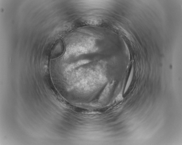 X0000088750553200706141731