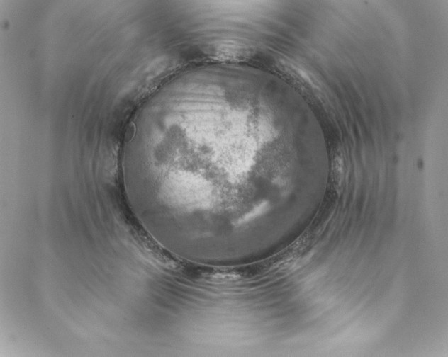 X0000088750554200706141731