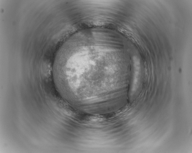 X0000088750555200706141731