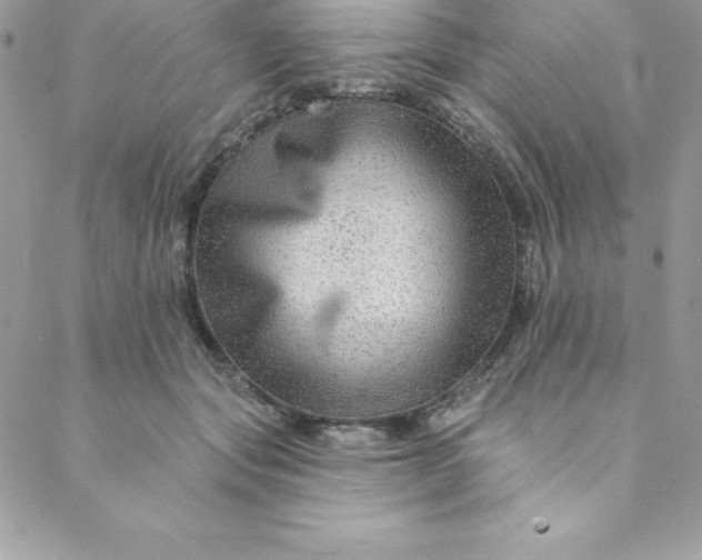 X0000088750557200706141731