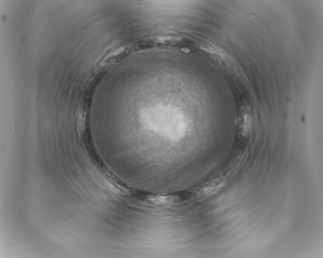 X0000088750558200706141731