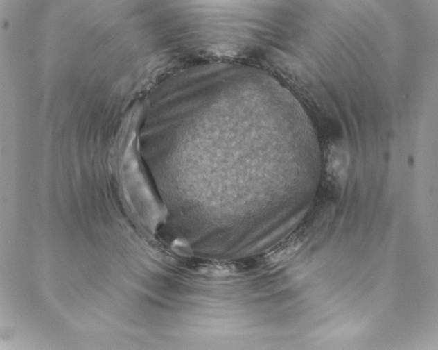 X0000088750559200706141731