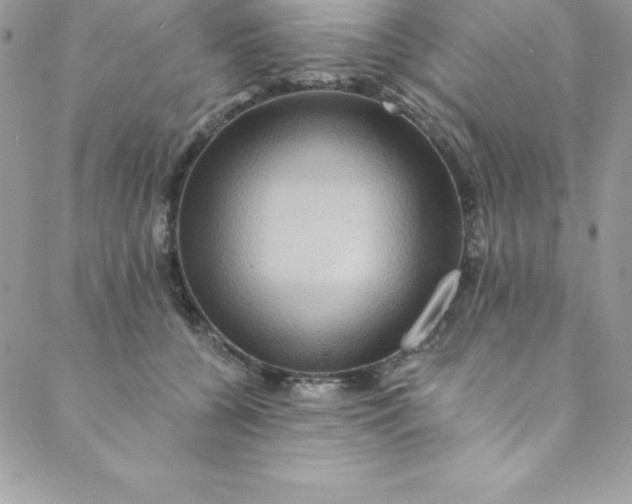 X0000088750560200706141731