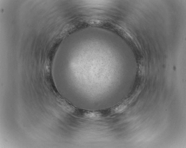 X0000088750561200706141731