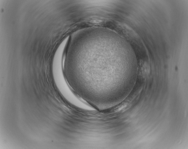 X0000088750562200706141731