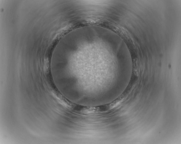 X0000088750563200706141731