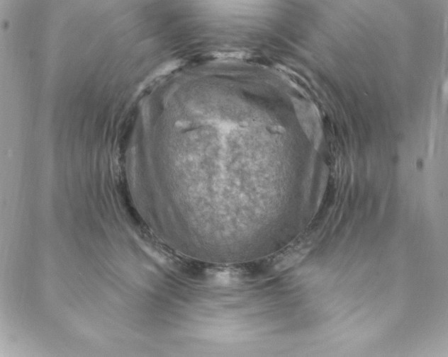 X0000088750564200706141731