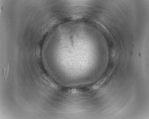 X0000088750565200706141731