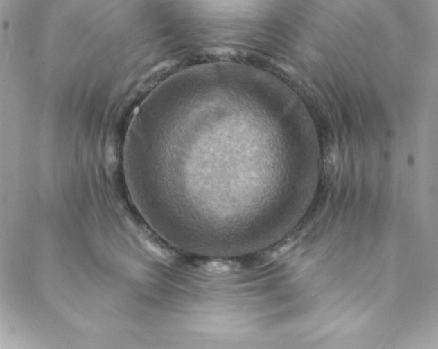 X0000088750566200706141731