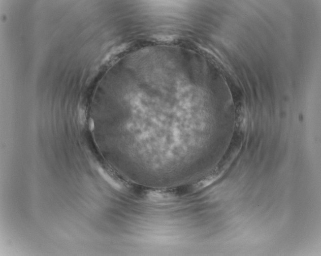 X0000088750568200706141731