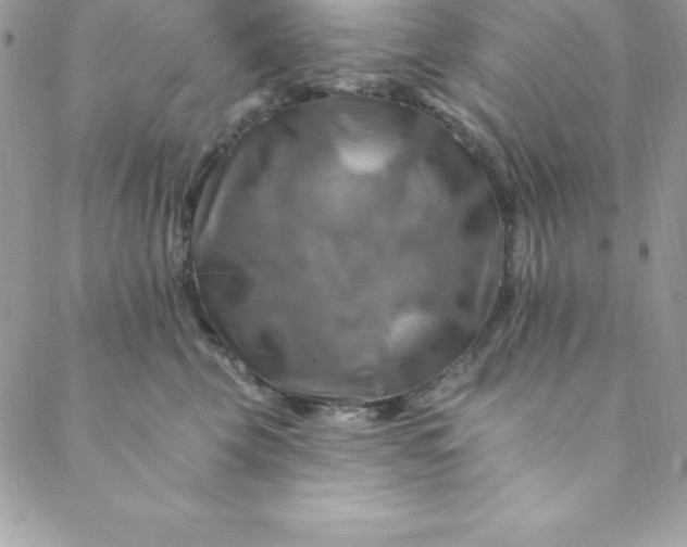 X0000088750569200706141731