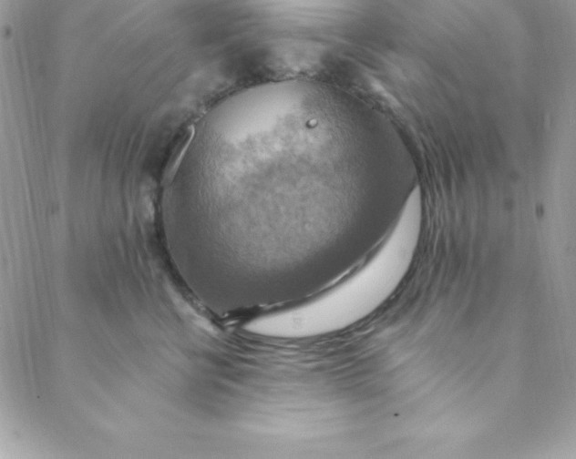 X0000088750570200706141731