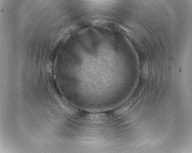 X0000088750571200706141731