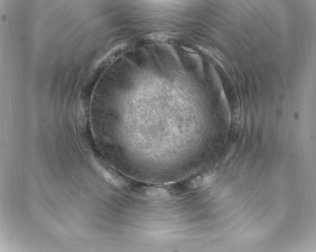 X0000088750572200706141731