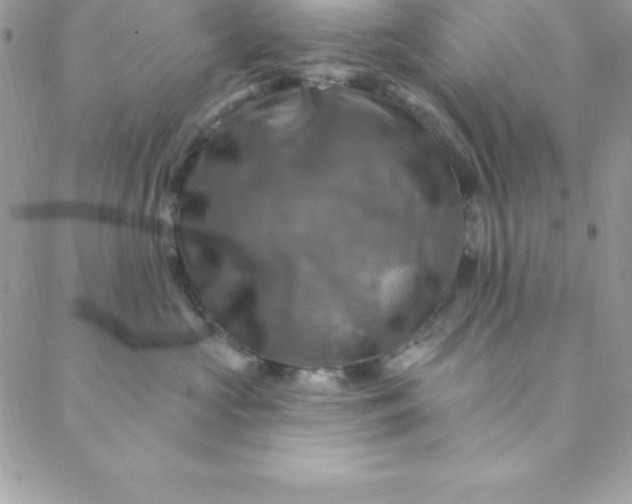 X0000088750573200706141731