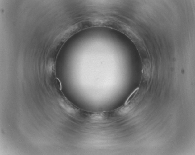 X0000088750574200706141731