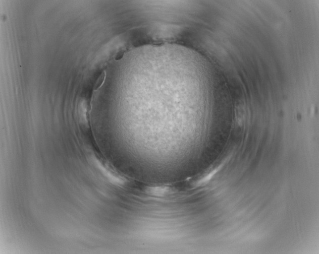 X0000088750575200706141731