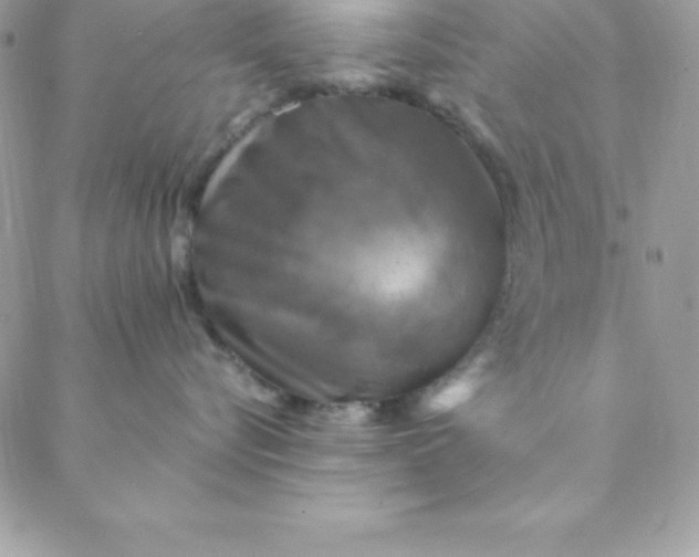 X0000088750576200706141731