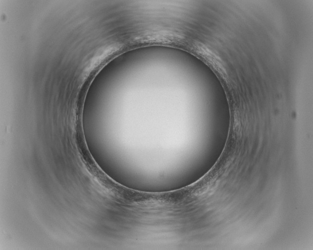 X0000088750578200706141730