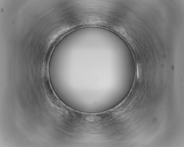 X0000088750579200706141730