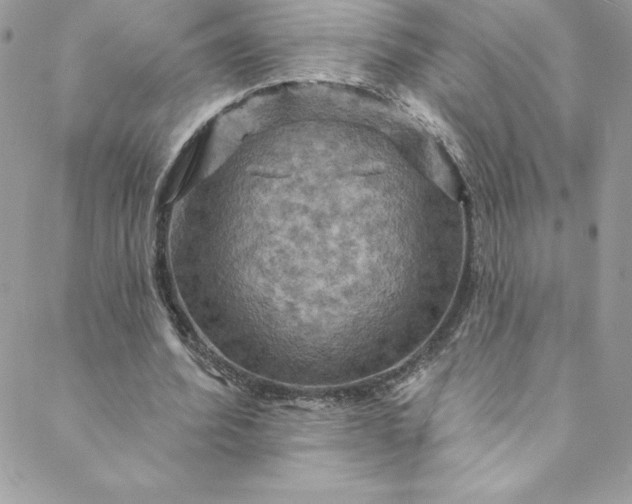 X0000088750580200706141730