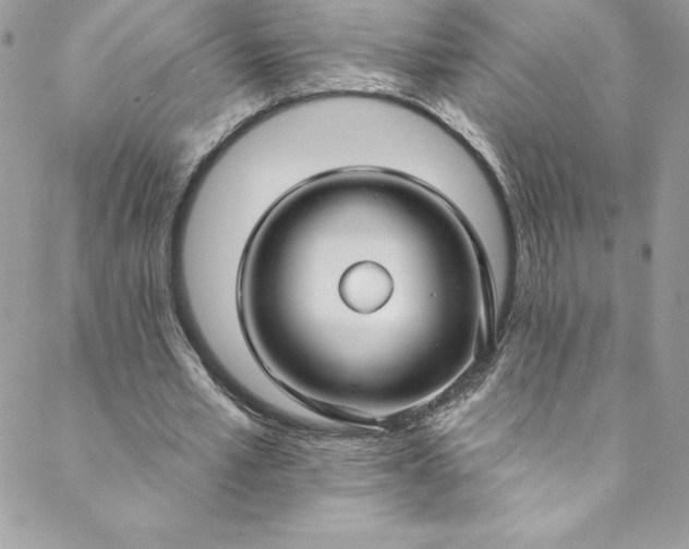 X0000088750581200706141730