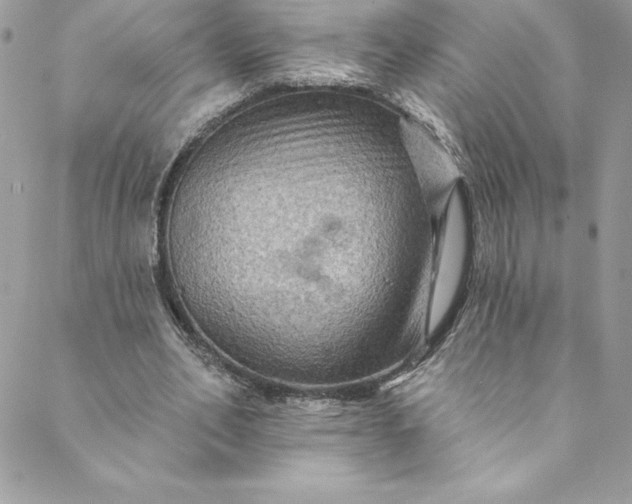 X0000088750582200706141730