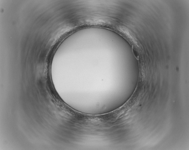 X0000088750583200706141730