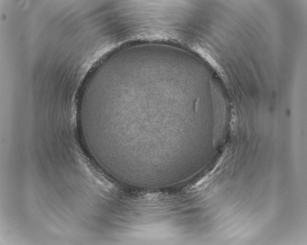 X0000088750584200706141730