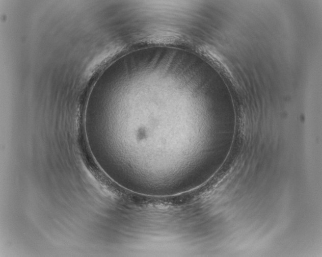 X0000088750586200706141730