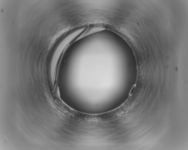 X0000088750587200706141730