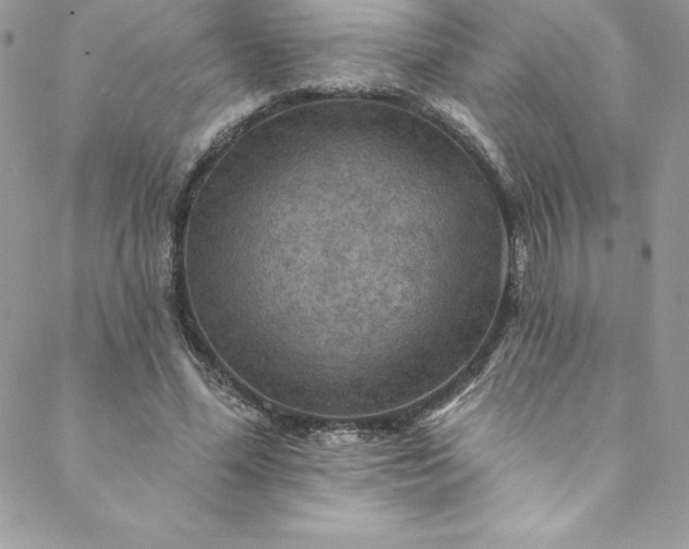 X0000088750588200706141730