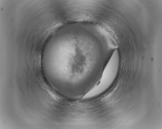 X0000088750589200706141730