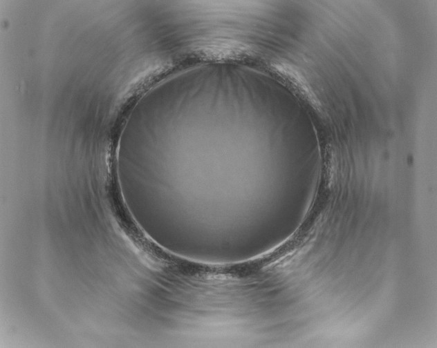 X0000088750590200706141730