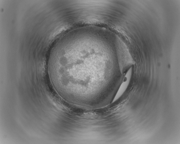 X0000088750591200706141730