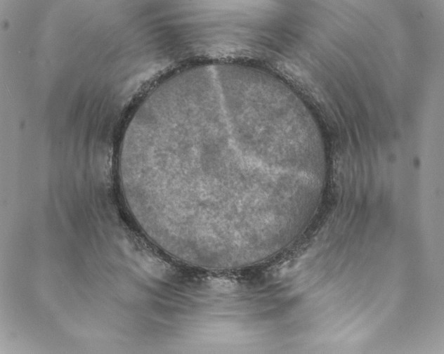 X0000088750592200706141730