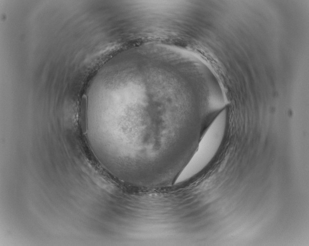 X0000088750593200706141730