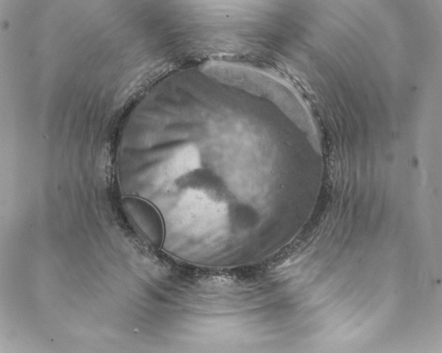 X0000088750594200706141730