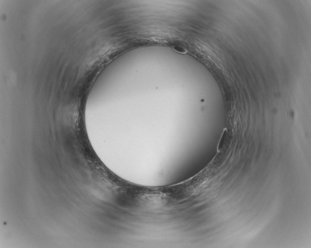 X0000088750595200706141730