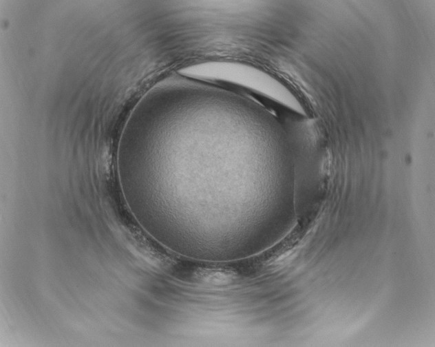 X0000088750597200706141730