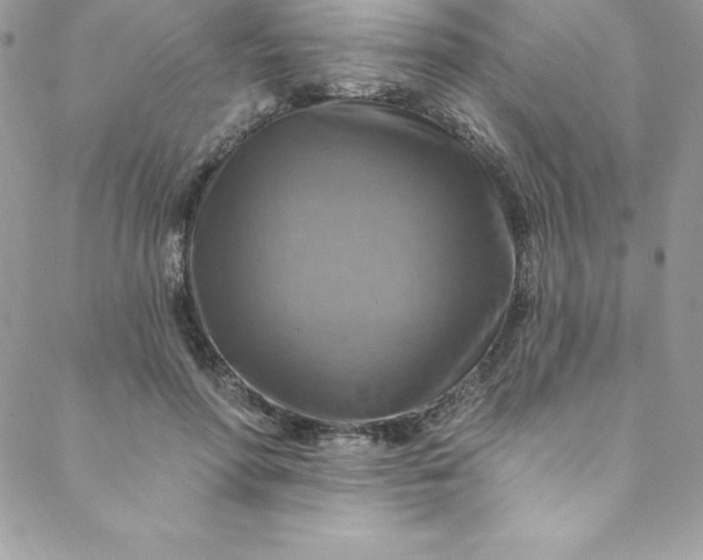 X0000088750598200706141730