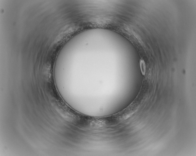 X0000088750599200706141730