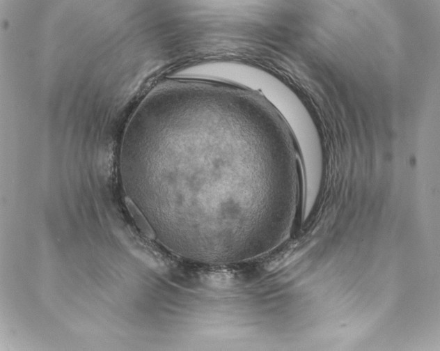 X0000088750600200706141730