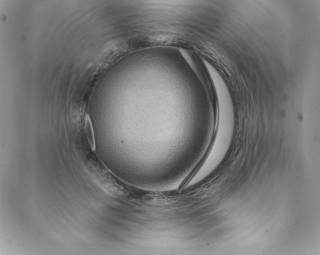 X0000088750601200706141730