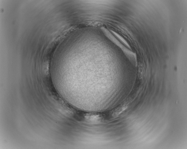 X0000088750602200706141730