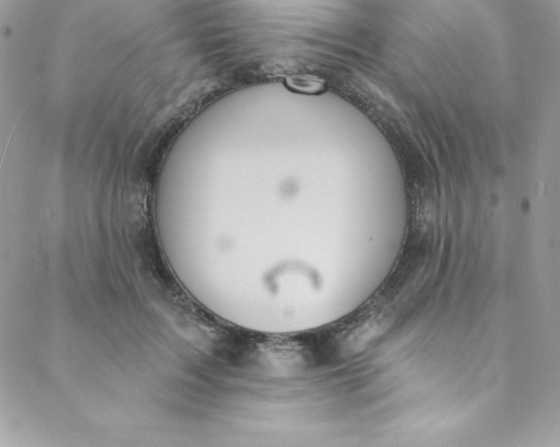 X0000088750603200706141730