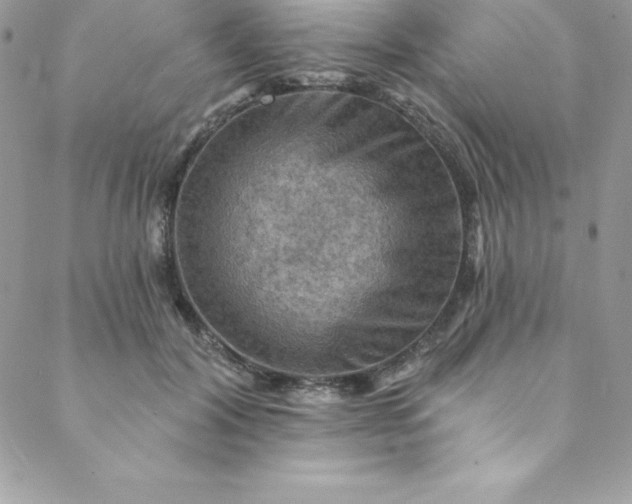 X0000088750604200706141730