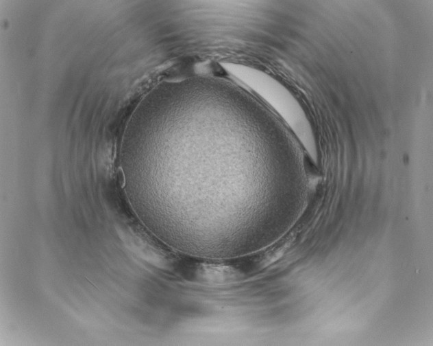 X0000088750605200706141730